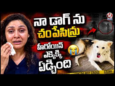Film Actress Manjari Fadnis Breaks Down Over Dog Issue | V6 News - V6NEWSTELUGU
