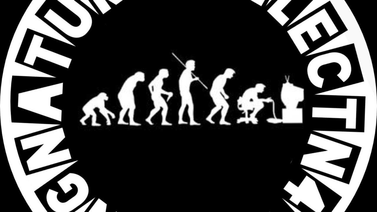 NaturalTV l Destiny 2 HIGH PLAINS BLUES