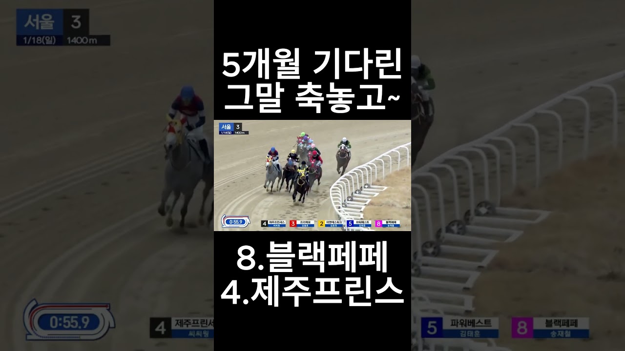 5개월 기다린 그 말축놓고~  #경마  #경마예상  #경마방송  #경마예상방송  #서울경마  #금요경마  #토요경마  #일요경마 #경마장