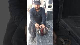 falla spn 1209 fmi 2 presion de gases isx cummins