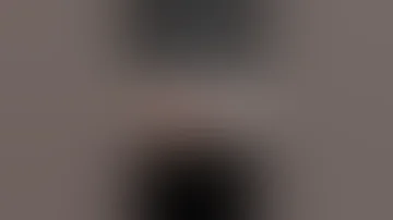 تزاوج الحصان 