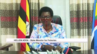 Ministry maintains $ 6 Kg fish export price - Vimarsana News