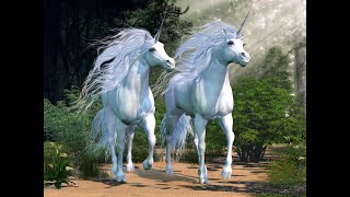 Twin Flame Floating Love Chakra Balance Meditation