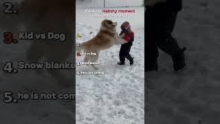 Ranking Husky moment #husky #snowday #backtalking #snowdog