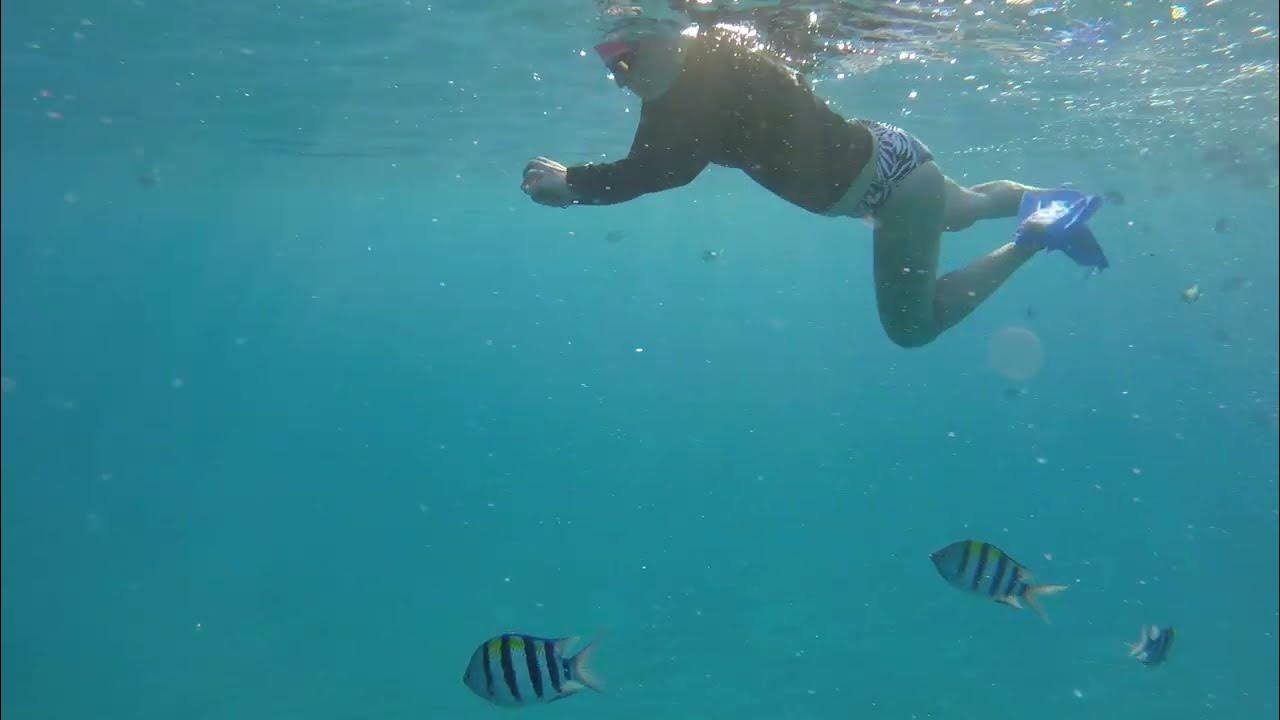 Vid2 Electric Beach Snorkeling 19 Feb Oahu YouTube