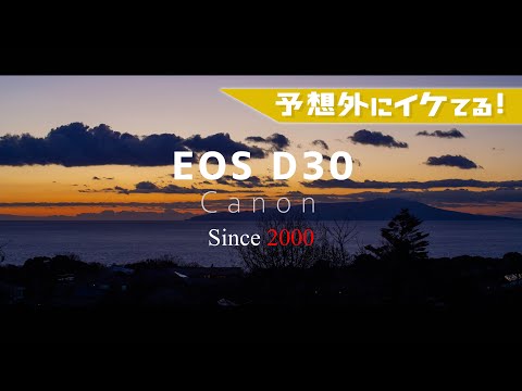 【Canon EOS D30】たった325万画素の一眼レフ機を使ったった / そしてA3プリント