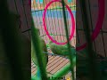 @MuskanSahu-q8r