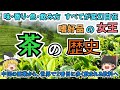 【ゆっくり解説】茶の歴史　世界で２番目に飲まれる飲料が歩んできた波乱の歴史