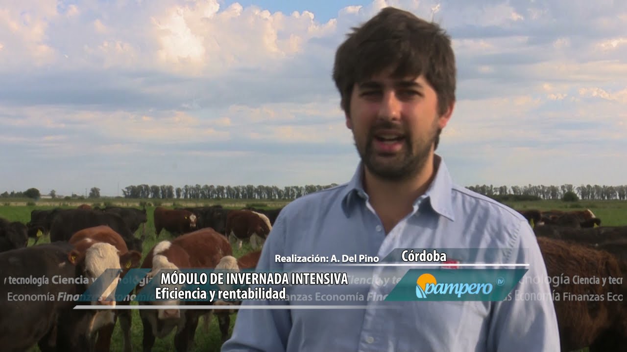 INTA Marcos Juárez - Módulo de invernada intensiva