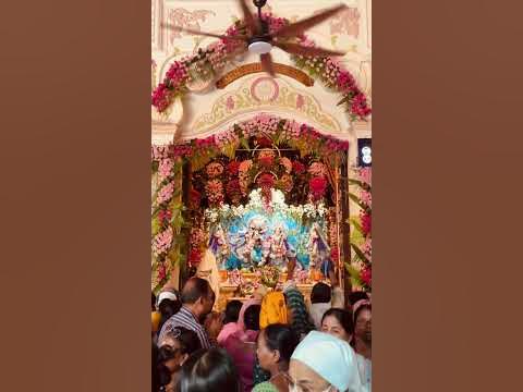 vrindavan holi foreigner