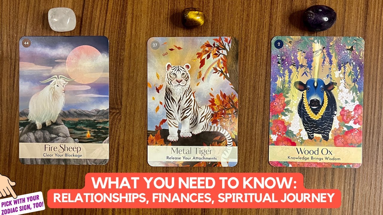 What You Need To Know Right Now: Relationships, Finances, Guidance | Timeless Reading