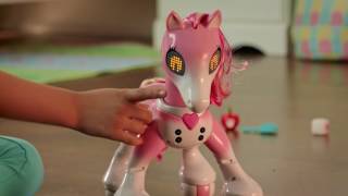 Zoomer | How To Play With Zoomer Show Pony by Zoomer 3,325,620 views 6 years ago 4 minutes, 19 seconds