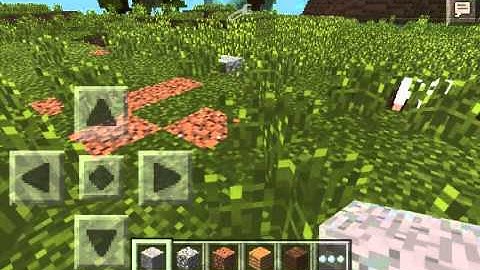 MCPE mod showcase me and me mod