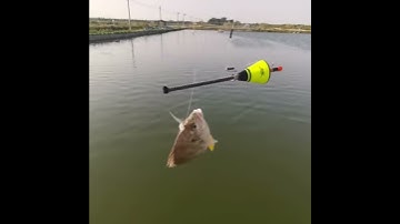 Automatic fishing hook