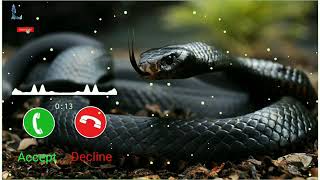 Nagin ringtone