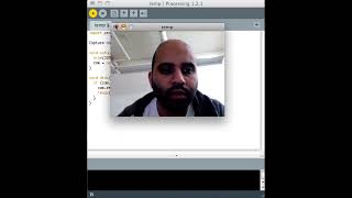 Processing (15 of 21): Live Video Input