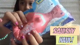 Squishy haul from sprinklelicious-bahasa indonesia