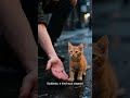 Proof That Kindness Still Exists