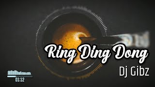 Ring Ding Dong (Dj Gibz Remix) | TikTok Viral Remix