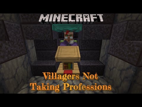 Minecraft 1.17 Villagers Not Taking Professions *Solution*