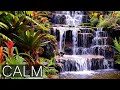 Deep Relaxation - Meditation Music with Sounds of Nature: Birds and Waterfall, Meditation