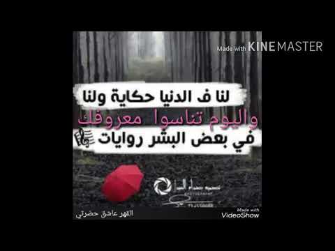 الشاعر نجيب علي احمد 2019 