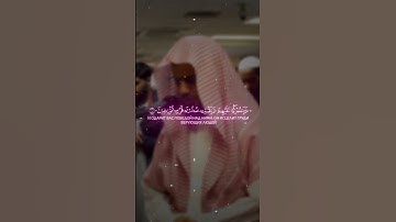القارئ ابوبكر الشاطري #سورة_التوبة