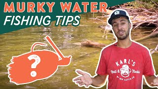 Best Baits for Fishing Murky Water! (Bass Fishing Tips)
