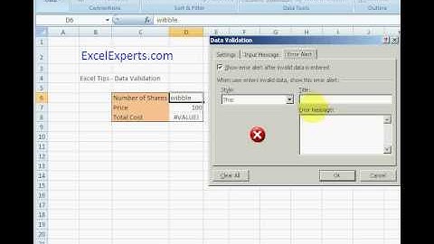 ExcelExperts.com - Excel Tips - Data Validation