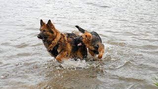 When you want to play in the water, but your kid sister doesn&#39;t want you to.