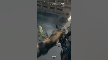 Cod DMZ - Too Much Bots!