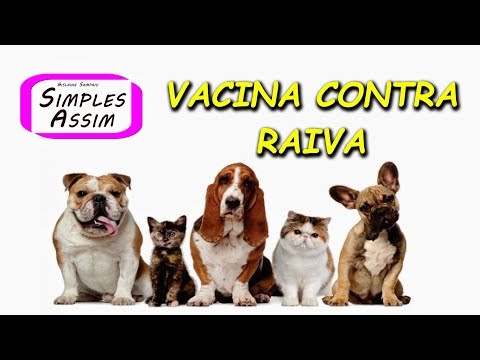 Vídeo: A Opção De Não Vacinar Contra A Raiva é Uma Opção Para Donos De Animais De Estimação