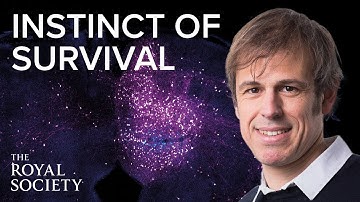 Neurons, synapses, and the instinct of survival | The Royal Society