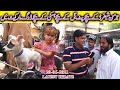 Saddar Sunday Dogs Market Karachi 20-6-2021German Shepherd Puppy Siberian Husky Puppy Pit Bull Puppy