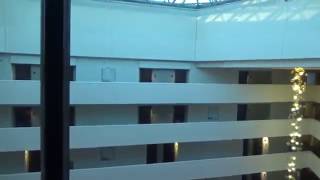 (Requested by Upanddownadventures) Fast Scenic Traction Elevator @ Hilton McLean Tysons VA