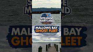 Mallows Bay Ghost Fleet: Inside Maryland’s Forgotten Shipwreck Sanctuary