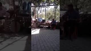 Arif bayburt Güllü güllü sallama potpori