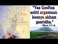 Faarfannaa Buheef Farfataman Bakka Tokkotti Faarfannaa Buheef Farfataman Bakka Tokkotti