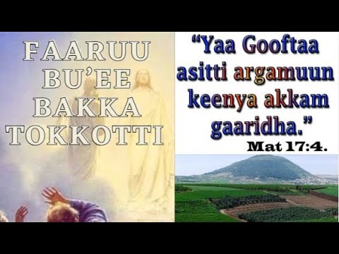 Faarfannaa Buheef Farfataman Bakka Tokkotti