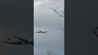 Live Landing Of Finnair Flight 🇫🇮 #helsinki #finland