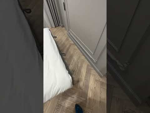 🌳 Паркет, который