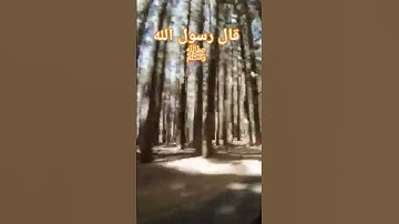 #قال_رسول #قرآن #احاديث #اذكار #ترند #اكسبلور #reels #viral #islamicvideo
