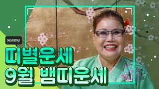 2020년 9월달 뱀띠 운세