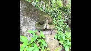 SACRED MONKEY FOREST SANCTUARY; UBUD, BALI