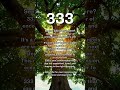 Why Do You Keep Seeing 333 Everywhere?