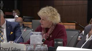 Department of National Defence and Canadian Armed Forces Contaminated Sites Committee Hearing