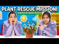 🌱 Becoming Plant Care Experts! How to Help Your Plant Grow Strong &amp; Healthy