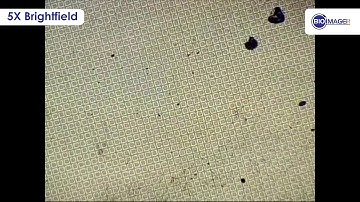 Bioimager Metallurgical Magnification live image form 5x to 50x objective lens, brightfield mode