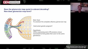 Spatial Transcriptomics Helps Sniff Out a More Comprehensive Olfactory Map
