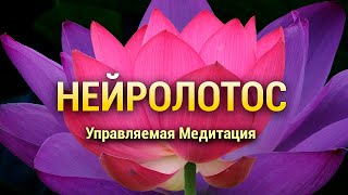 Медитация Нейролотос ? Визуализация